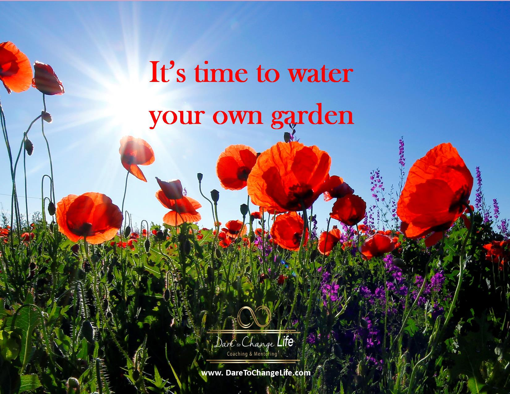 Dare to Change Life Coaching & Mentoring | Is It Time for You to Water ...